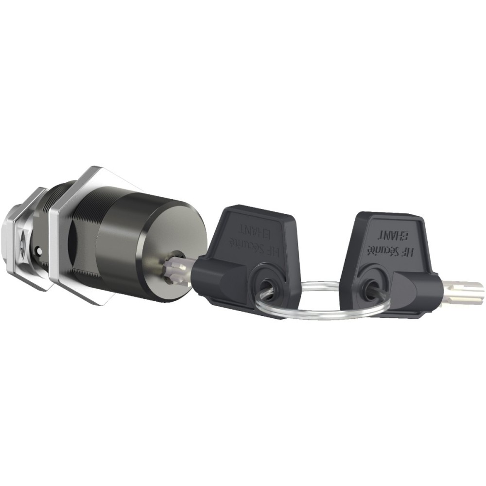 Chassis lock. 1Profalux keylock 2 key