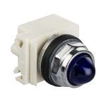 PILOT LIGHT 120V 30MM TYPE K +OPTIONS