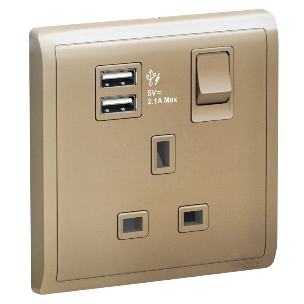 13A 1G Sw Socket with 2.1A USB, WG