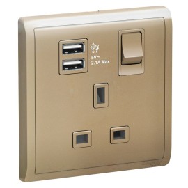 13A 1G Sw Socket with 2.1A USB, WG