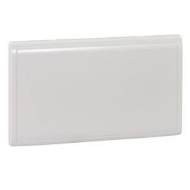2 G BLANK PLATE