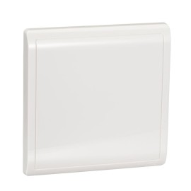 1 Gang Blank Plate