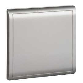 1G Blank Plate