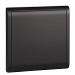 1G Blank Plate