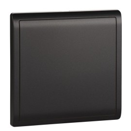 1G Blank Plate
