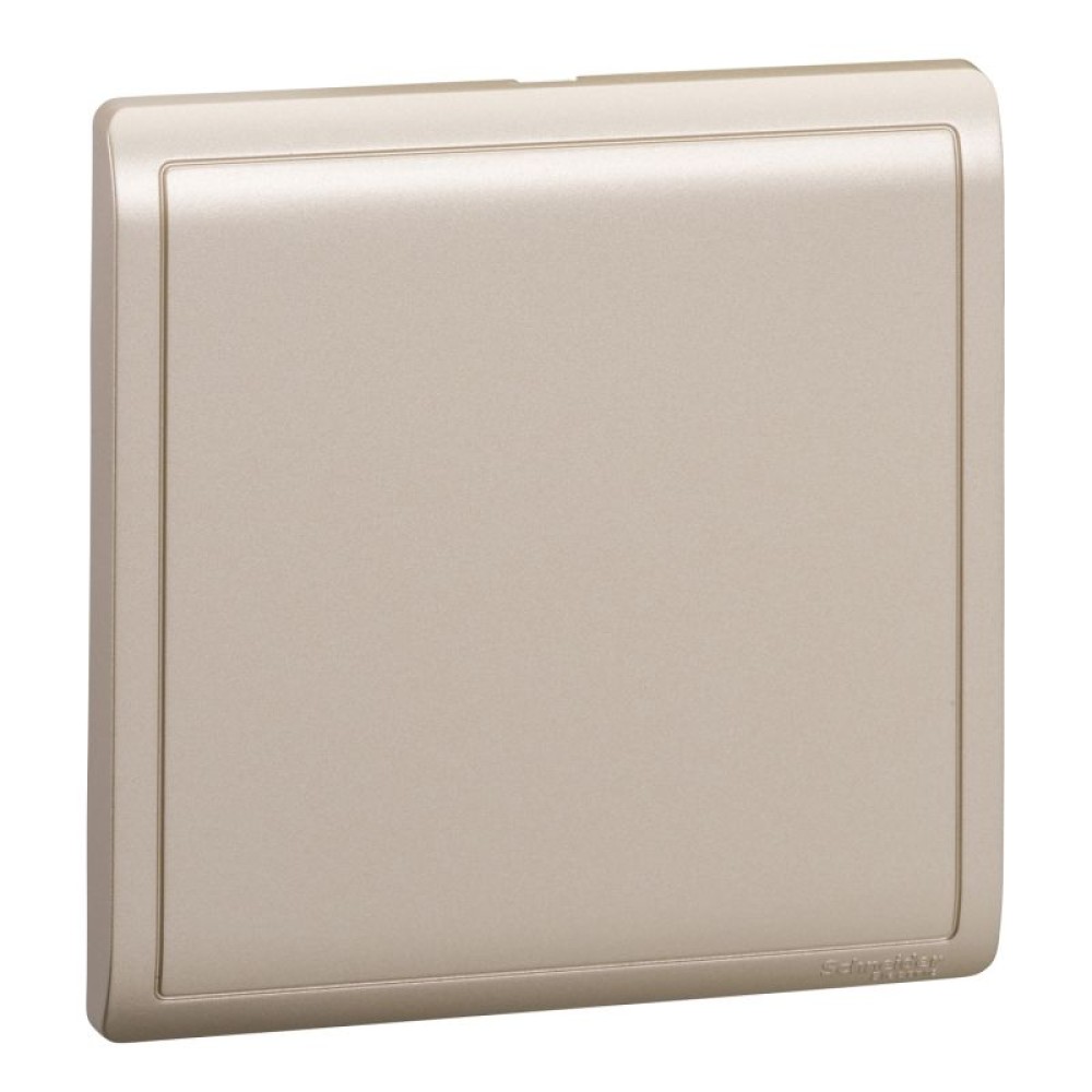 1G Blank Plate