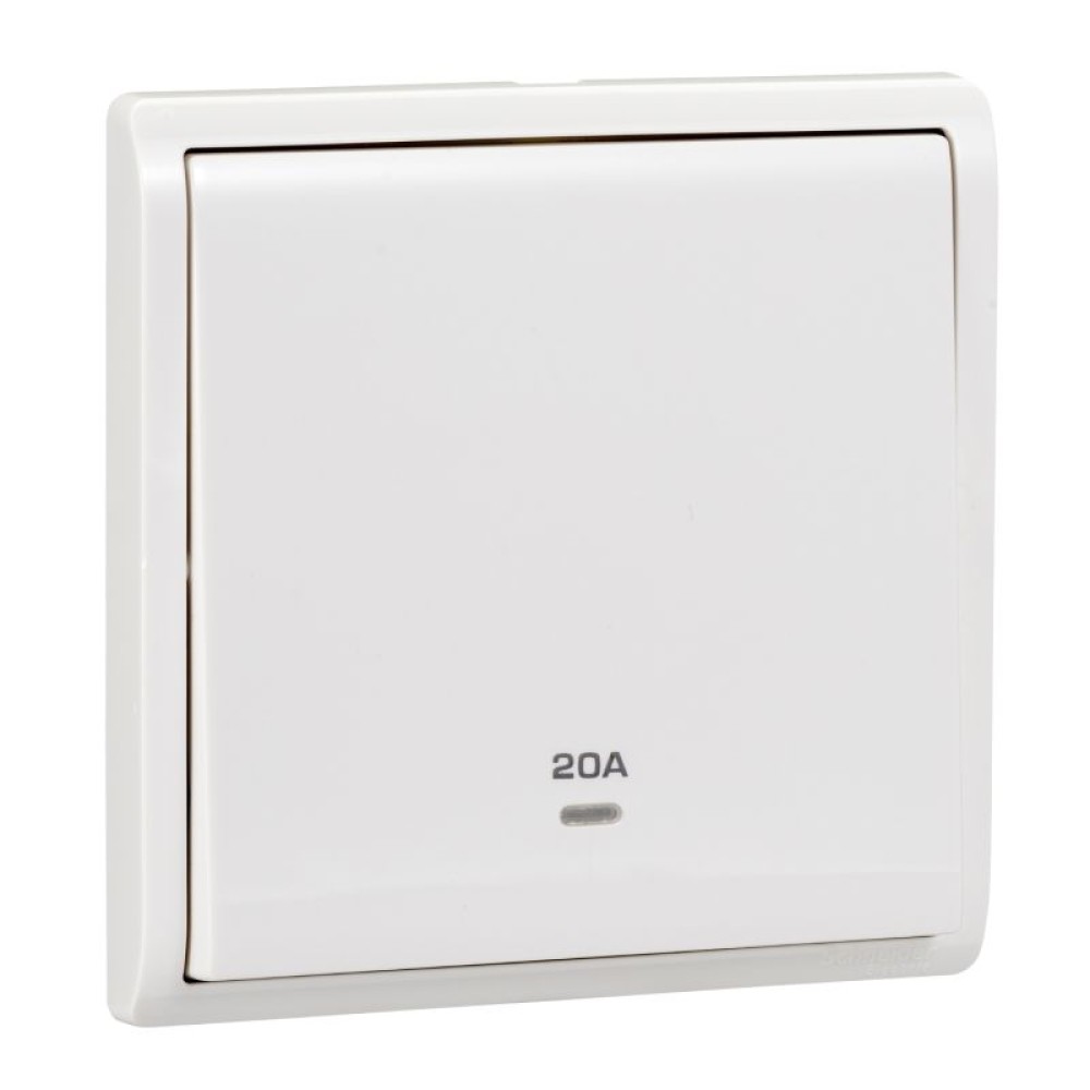 20A 1 Gang Double Pole Switch with Neo