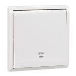 20A 1 Gang Double Pole Switch with Neo