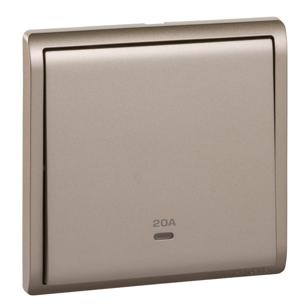 20A 250V 1 G DP SW w Ne