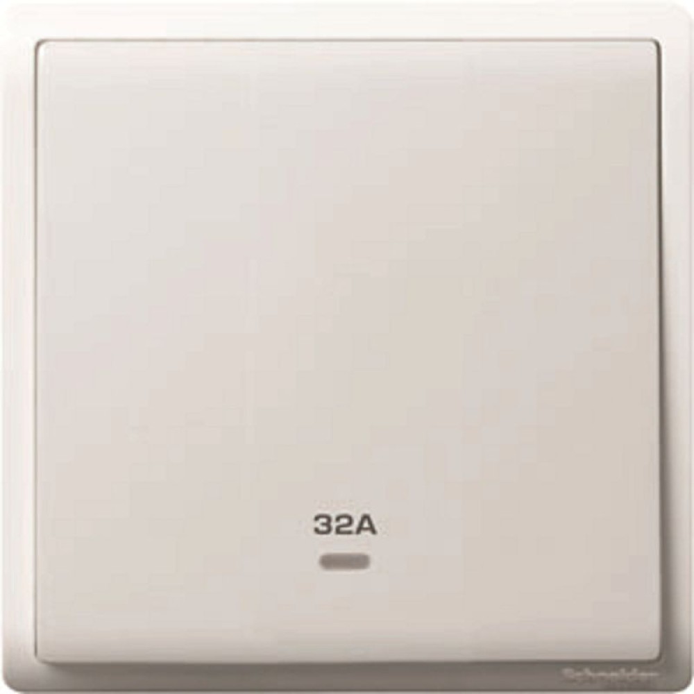 32A 250V 1G DP SW w Ne