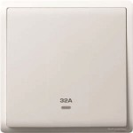 32A 250V 1G DP SW w Ne