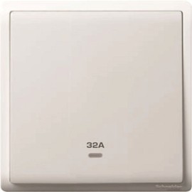 32A 250V 1G DP SW w Ne