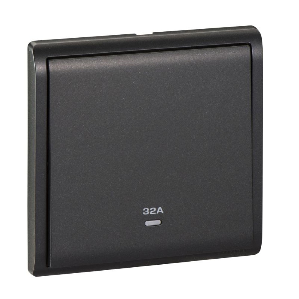 32A 250V 1G DP SW w Ne