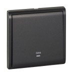 32A 250V 1G DP SW w Ne