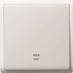 45A 250V 1G DP SW w Ne