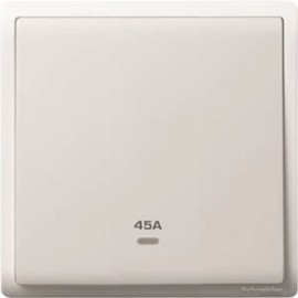 45A 250V 1G DP SW w Ne