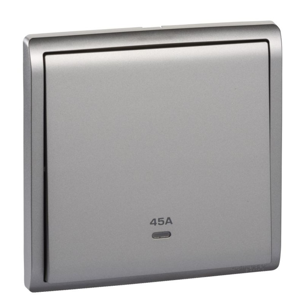 45A 250V 1G DP SW w Ne