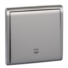 45A 250V 1G DP SW w Ne