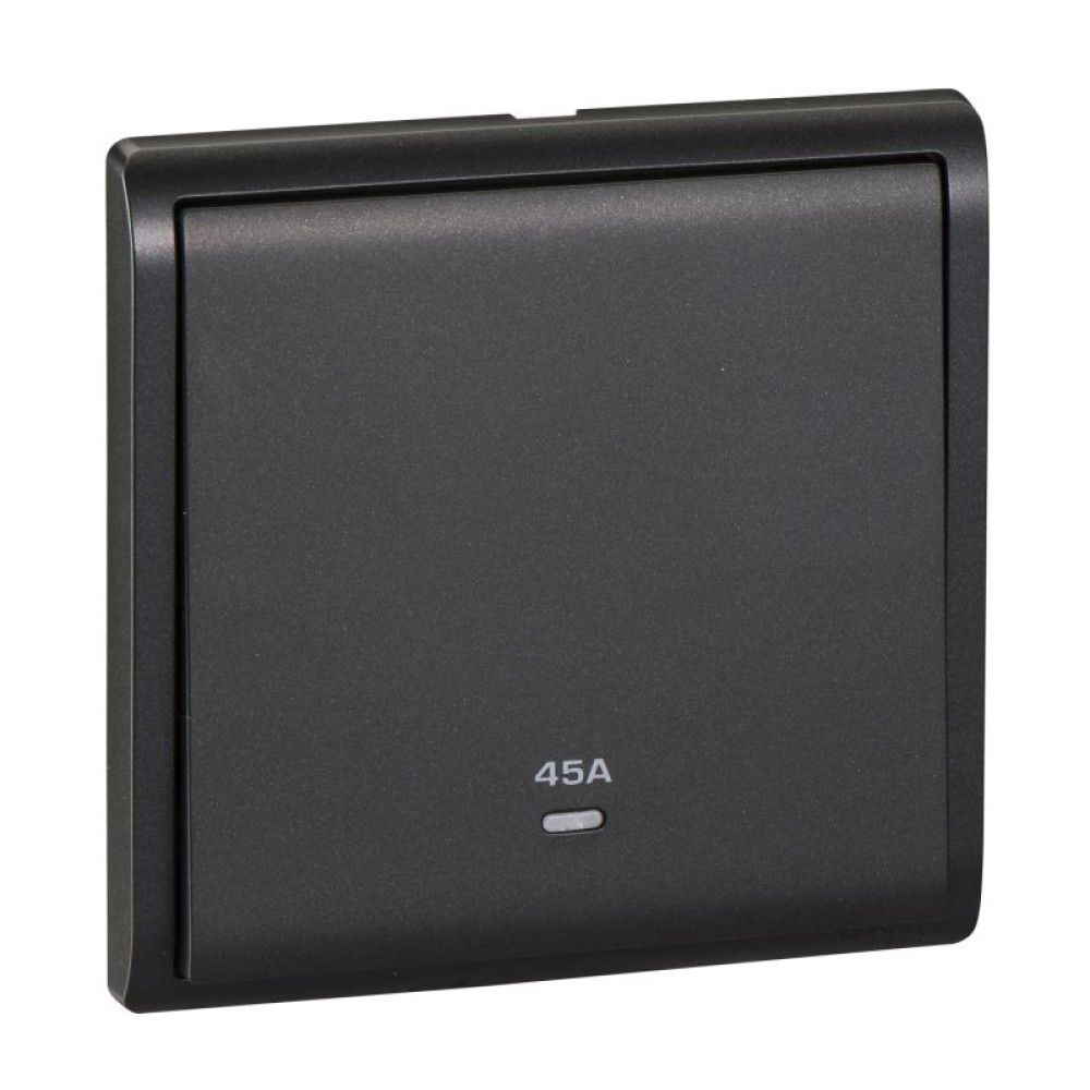 45A 250V 1G DP SW w Ne