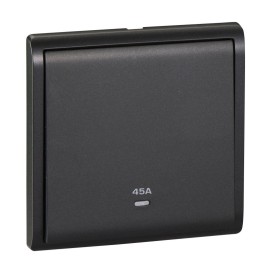 45A 250V 1G DP SW w Ne
