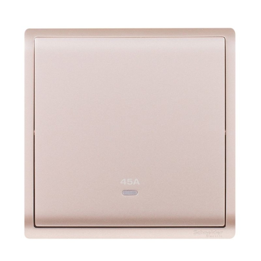 45A 250V 1G DP SW w Ne