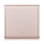 45A 250V 1G DP SW w Ne