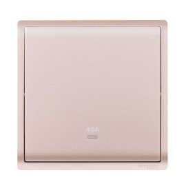 45A 250V 1G DP SW w Ne