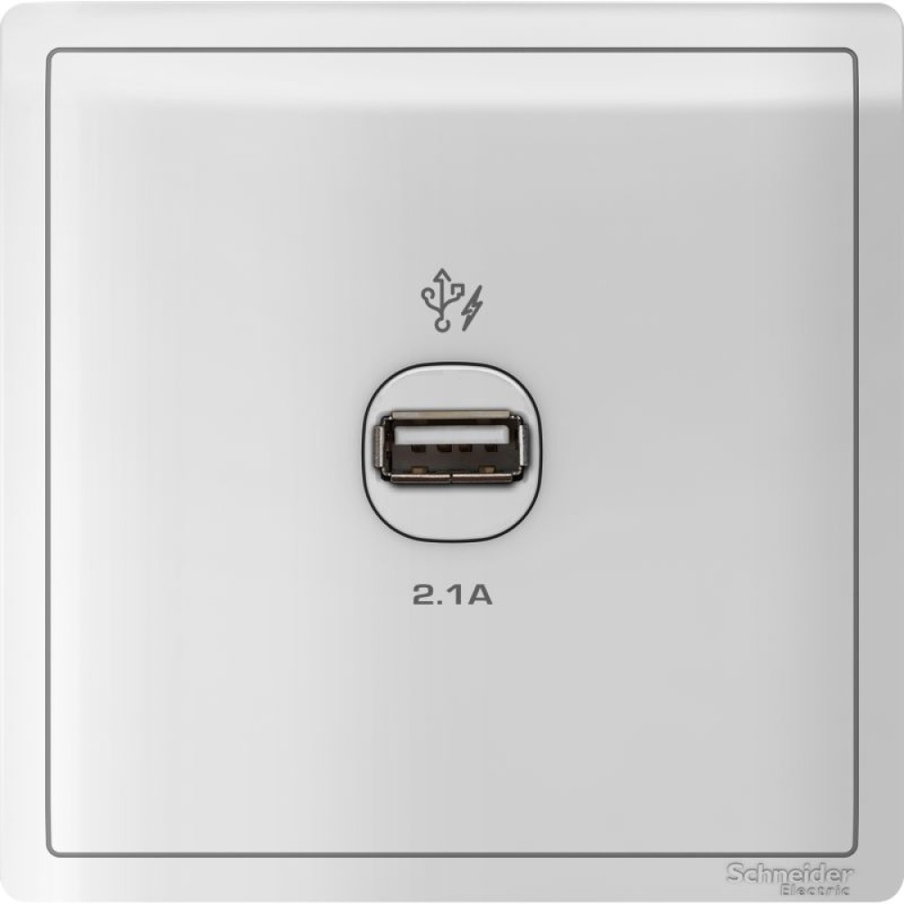 1 x 2.1A USB Charger, WE