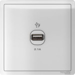 1 x 2.1A USB Charger, WE