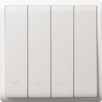 10AX 250V 4G 1W SW w Fluo Loc