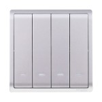 10AX 250V 4G 1W SW w Fluo Loc
