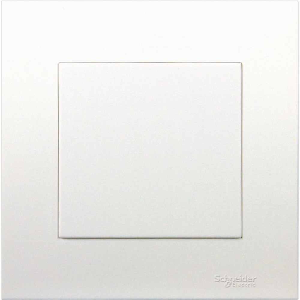 1 GANG BLANK PLATE