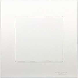 1 GANG BLANK PLATE