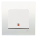 45A DOUBLE POLE SWITCH
