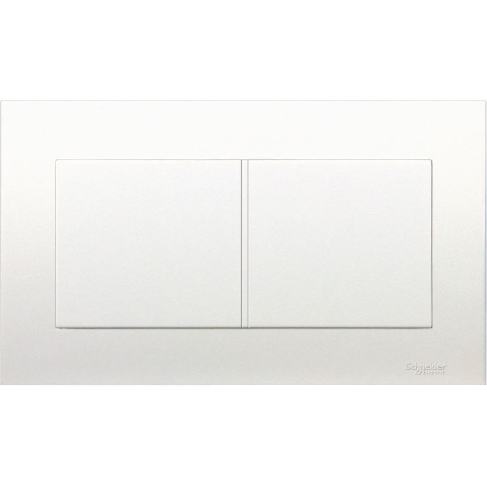 TWIN GANG BLANK PLATE