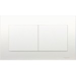 TWIN GANG BLANK PLATE