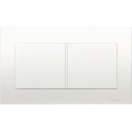 TWIN GANG BLANK PLATE
