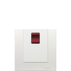 45A 250V VERTICAL DOUBLE POLE SWITCH